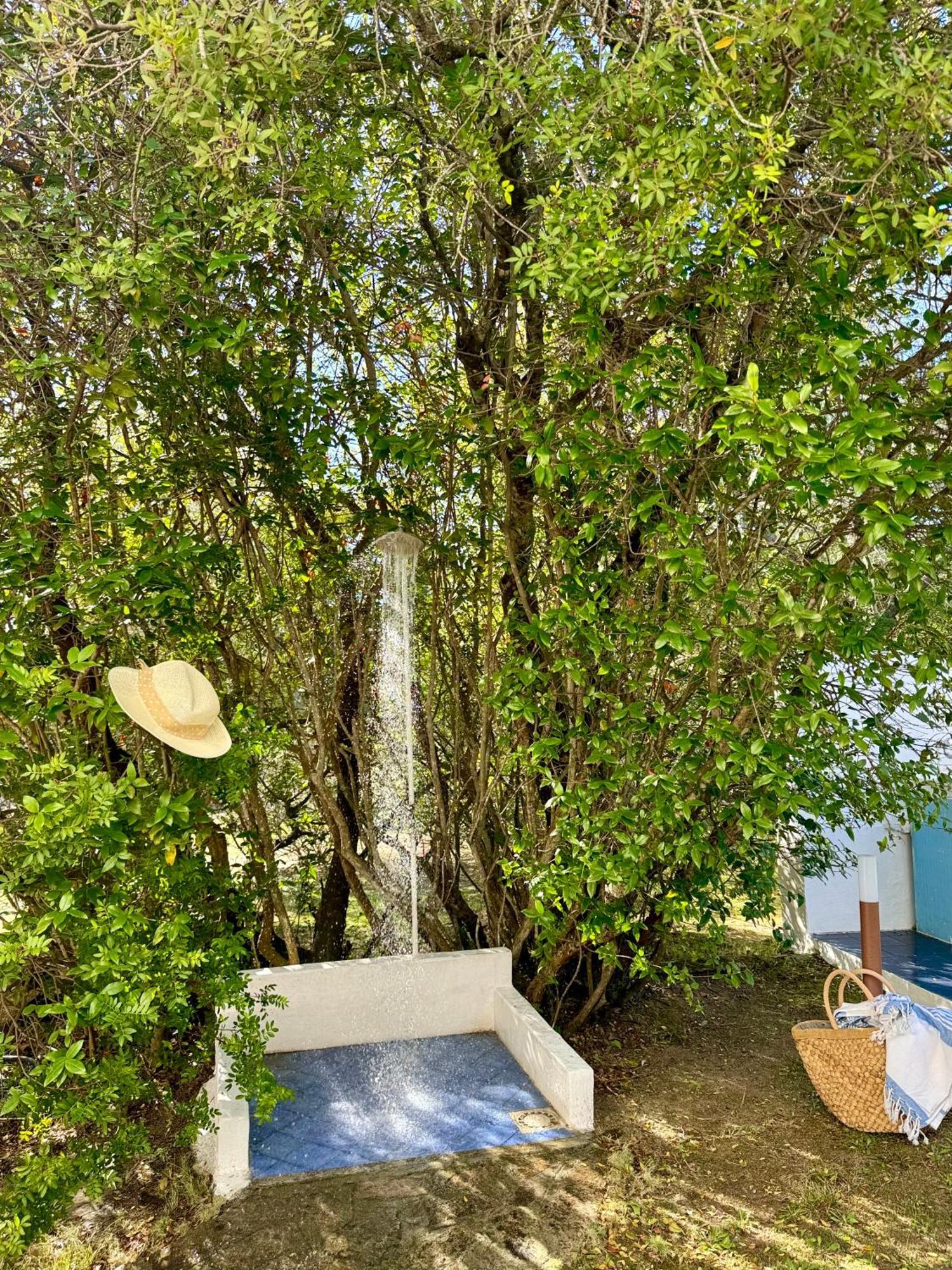 Garden Retreat - Homey Experience Олбия Екстериор снимка